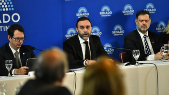 Senado: LLA no incorporó al dictamen del Presupuesto el capítulo 11