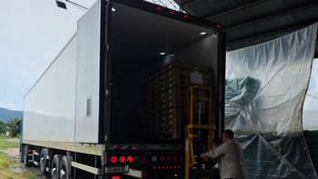 Tucumán concretará la primera exportación de ají y pepino a la Unión Europea