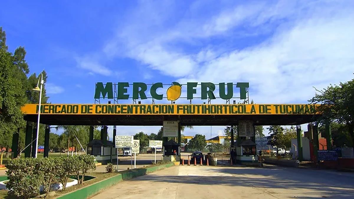 Tarifa de ingreso al Mercofrut: El aumento fue excesivo