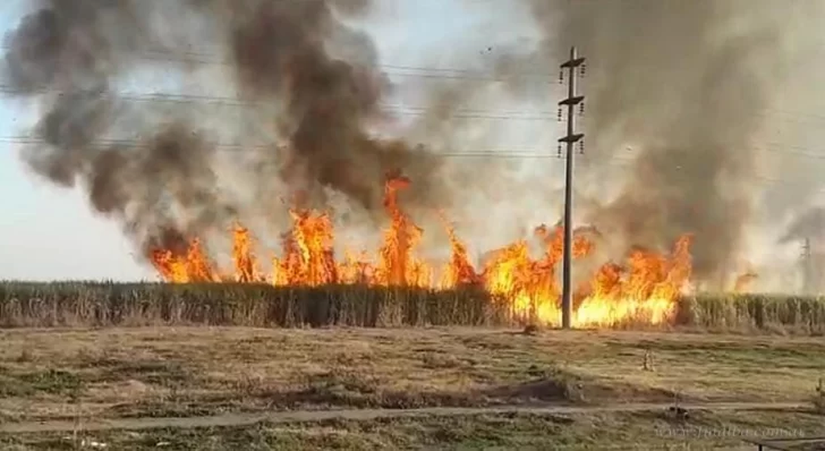 El Gobierno intensifica controles y sanciones por quema de caña en Tucumán