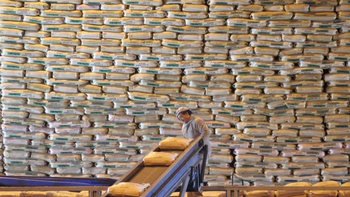 Cómo comenzaron el año las exportaciones de azúcar y de limón