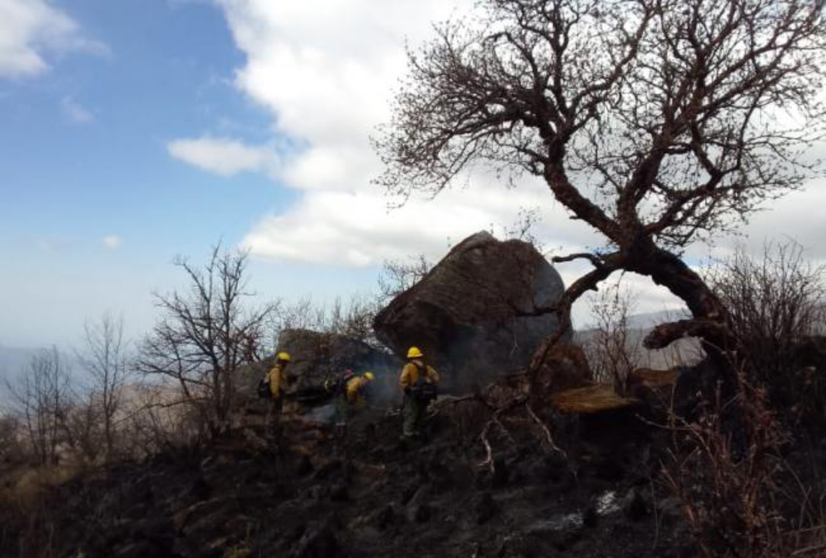 Lograron extinguir un incendio en Tafí del Valle