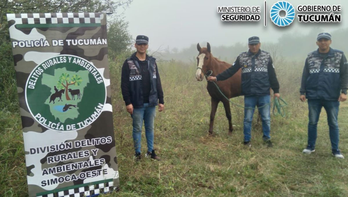 Simoca: Policía recuperó una yegua que había sido robada