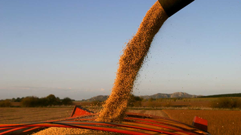 Estiman que el agro aportará USD 4.613 millones por retenciones en 2026