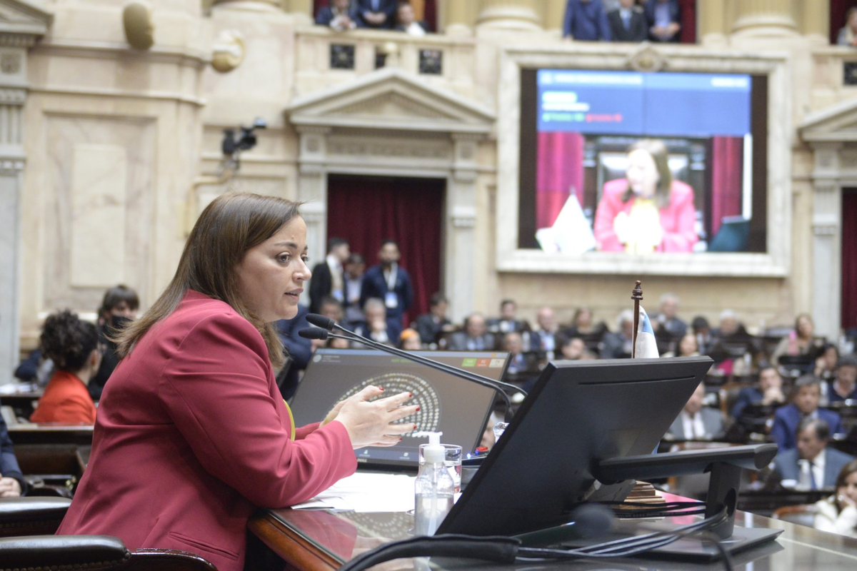 Diputados sin quórum: Cecilia Moreau sigue en la presidencia