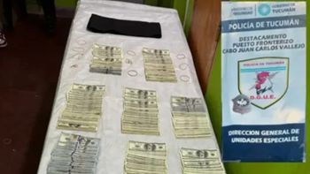 Operativo Lapacho: detienen a una persona y secuestran 140 mil dólares