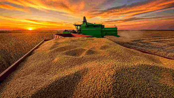 Mientras el agro crece, la industria del consumo sigue estancada