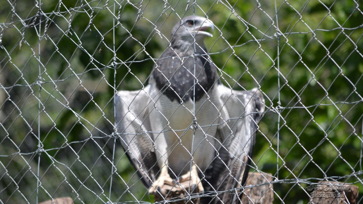 San Pedro de Colalao llama a visitar su Reserva Fitozoológica