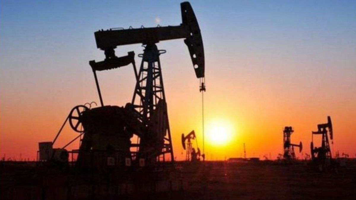 Descubren petróleo convencional en un área de Vaca Muerta en Malargüe