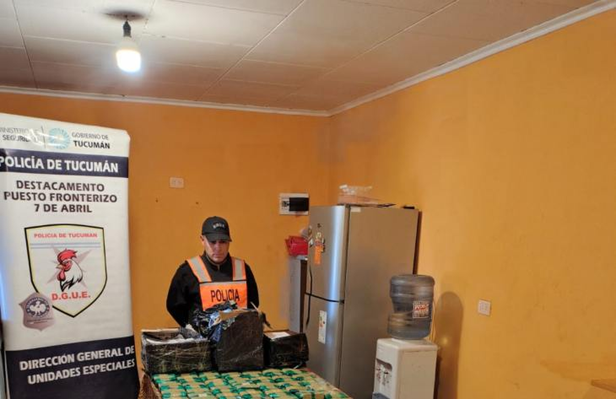 Secuestran 40 kilos de hojas de coca de un camión
