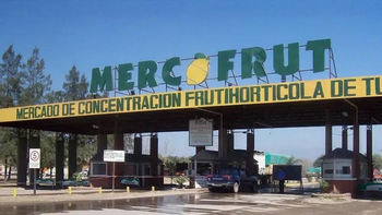 Precios de frutas y verduras: cuáles bajaron y cuánto cuestan en el Mercofrut