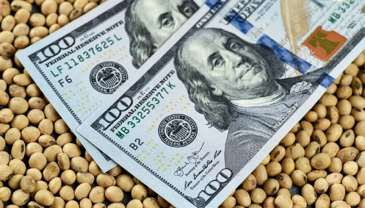 Dólar soja: ya registra un ingreso de casi u$s500 millones