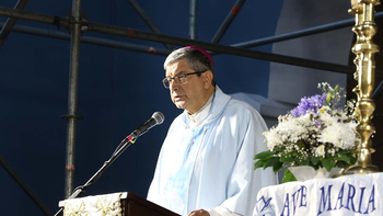 Día de la Inmaculada Concepción: 