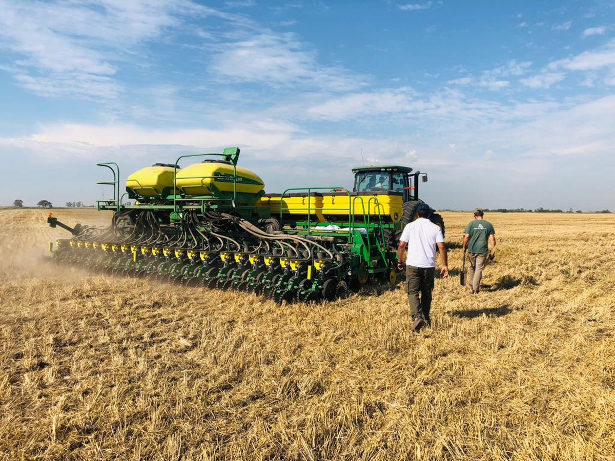 APRONOR: estiman que disminuir&aacute; un 50% la superficie de ma&iacute;z.