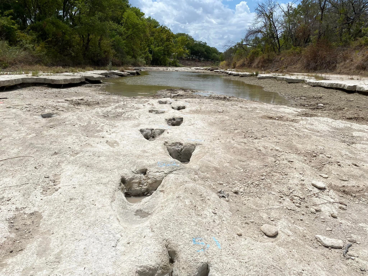 EEUU: La sequía deja al descubierto huellas de dinosaurios