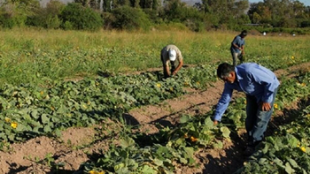 Trabajadores rurales: la prestación por desempleo será de $100.000