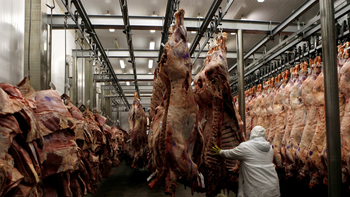 El precio de la carne vuelve a subir mientras el Gobierno impulsa exportaciones