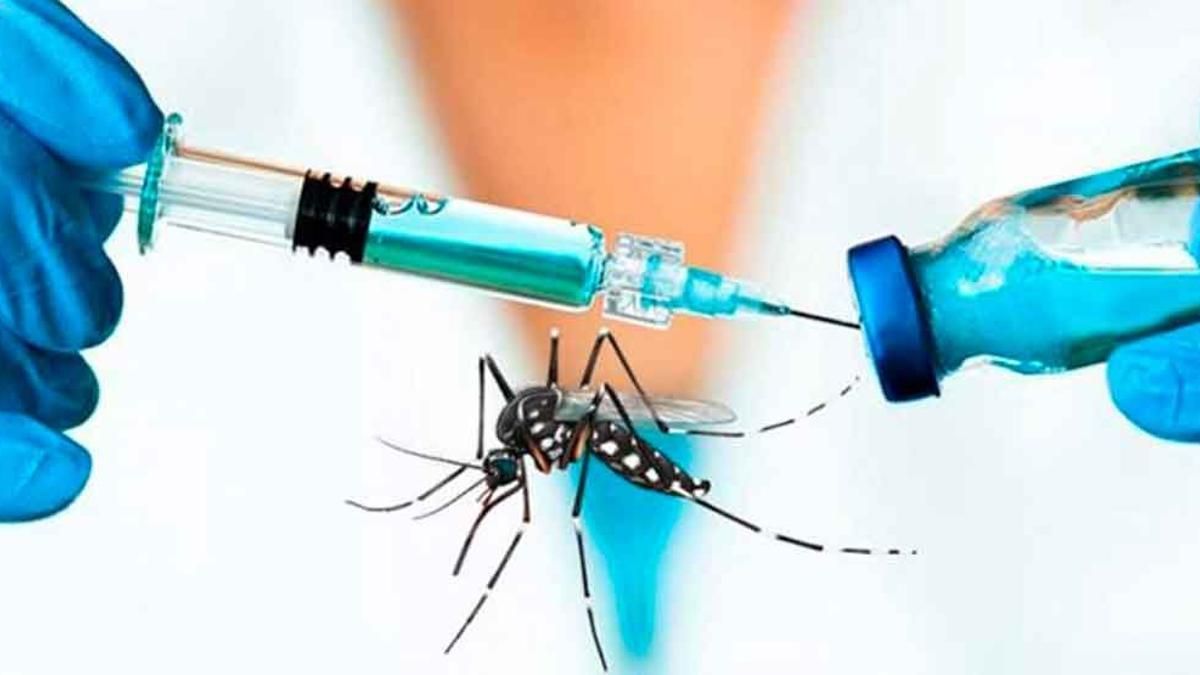 Desembarca la vacuna contra el dengue en Argentina