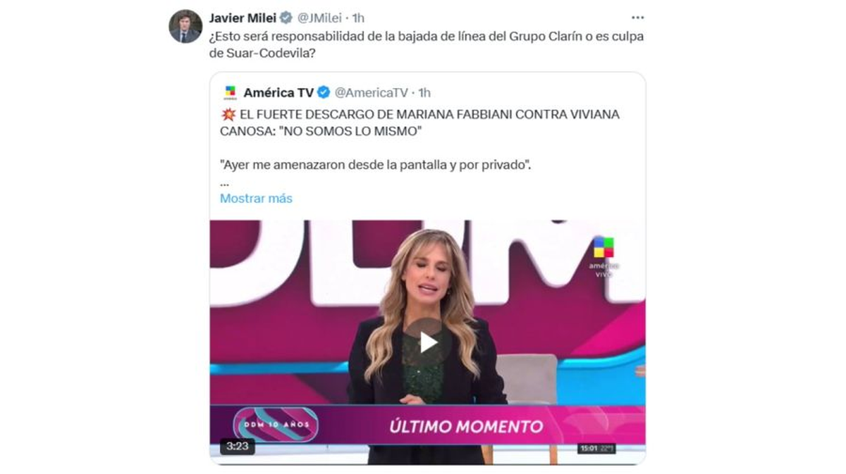 Milei se metió en la polémica con Viviana Canosa y apuntó contra Adrián Suar y Clarín. Foto: Exitoína