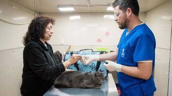 Día del Veterinario: 