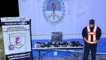 Secuestraron hojas de coca en operativos en puestos fronterizos