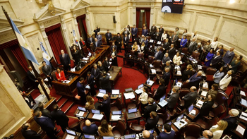 Senado: el proyecto de Régimen Penal Juvenil se tratará el viernes