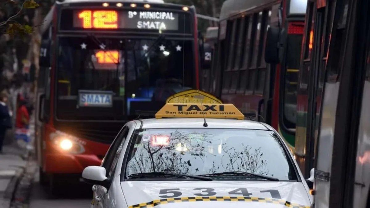 Tarifa de colectivos y taxi: aprobaron la suba y rige desde el lunes