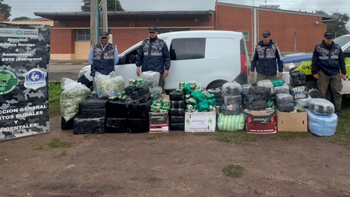 Incautaron 600 kilos de hojas de coca en Burruyacú