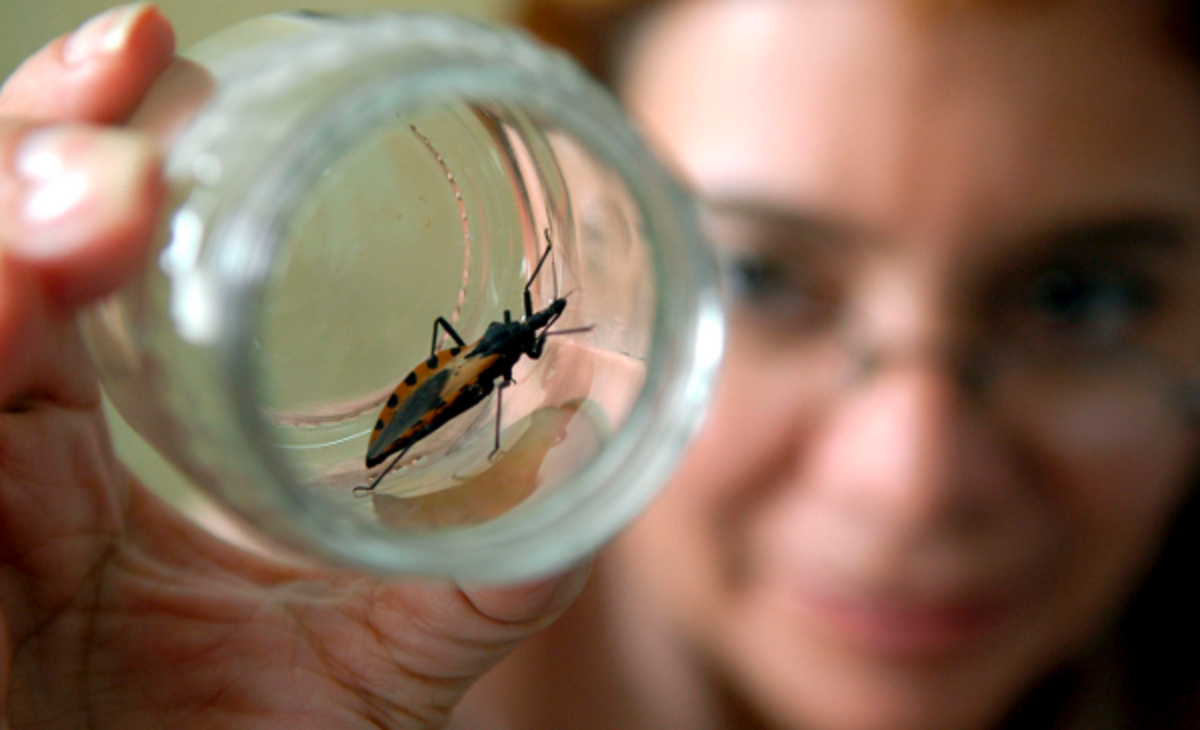 Chagas: iniciativa innovadora para su diagnóstico