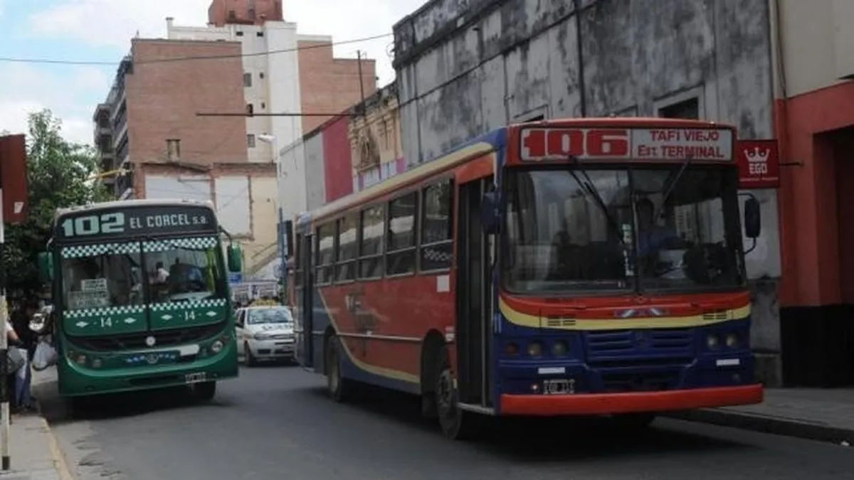 Ya está delimitado el 70% de carriles exclusivos para colectivos y rige la prohibición para estacionar.