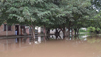 A raíz de las lluvias, hay anegamientos en La Madrid