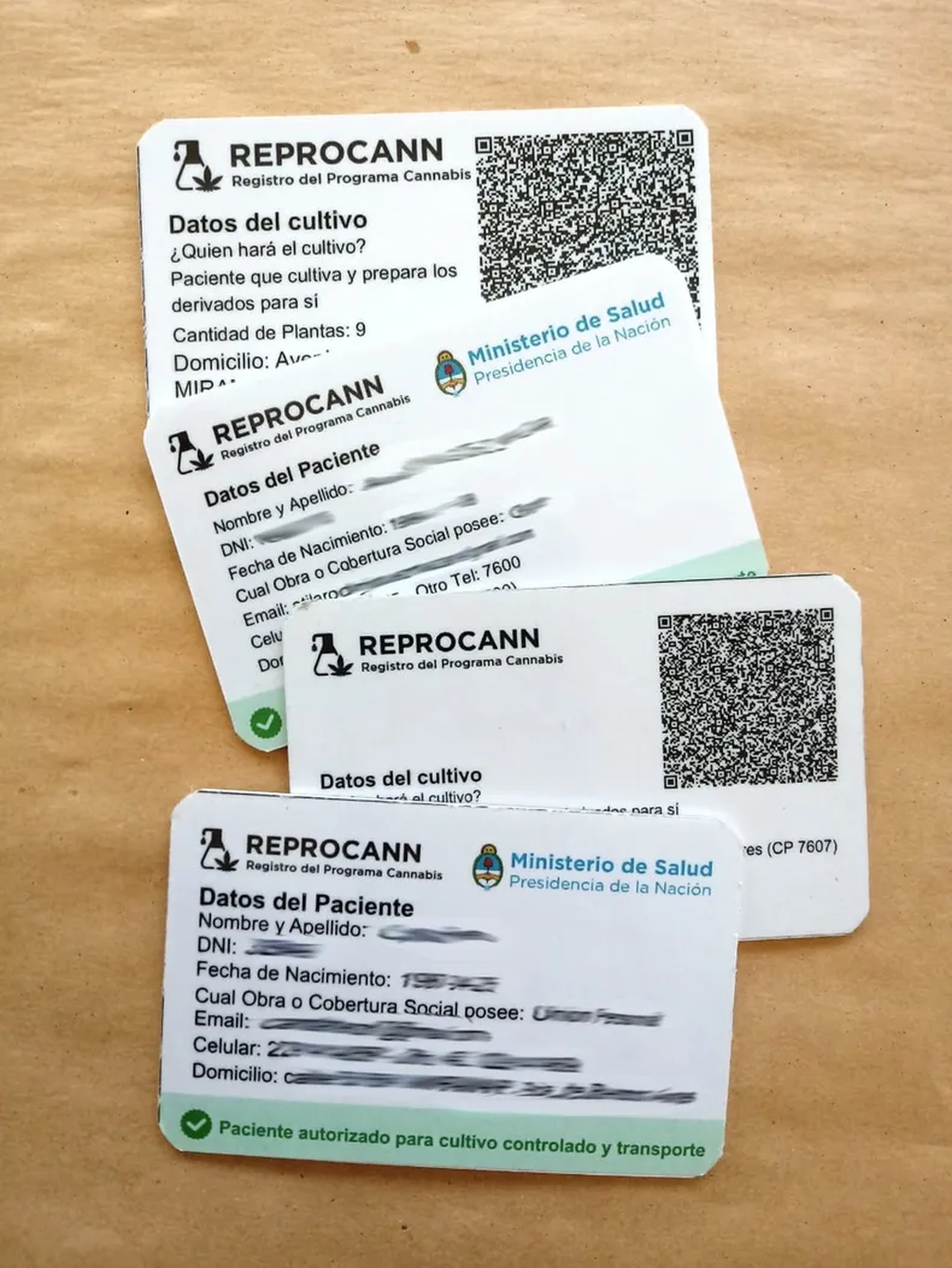 Cannabis medicinal: el Gobierno anunció que auditará las autorizaciones del Reprocann. (Foto: C5N) Cannabis medicinal: el Gobierno anunció que auditará las autorizaciones del Reprocann. (Foto: C5N)