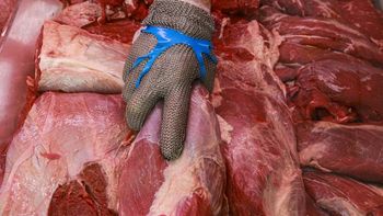 La carne tuvo una suba de casi el 11% durante marzo