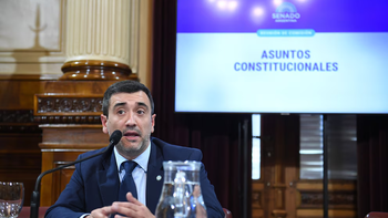 El Senado comienza a debatir la reforma electoral