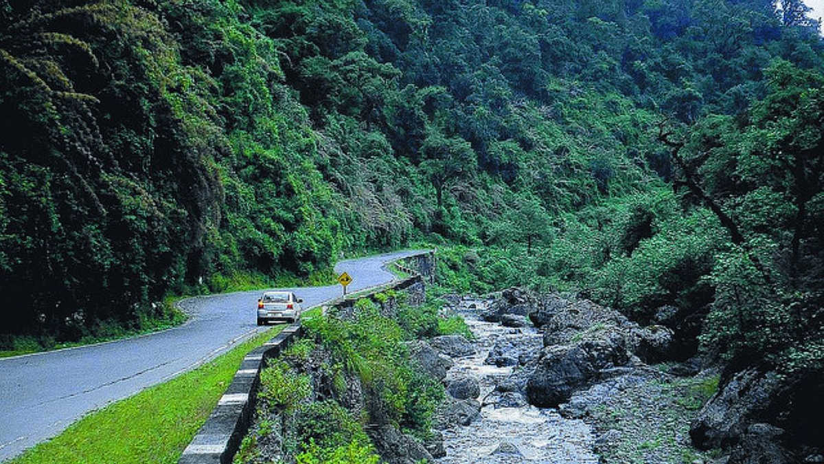 La ruta 307 está habilitada: El tráfico es normal