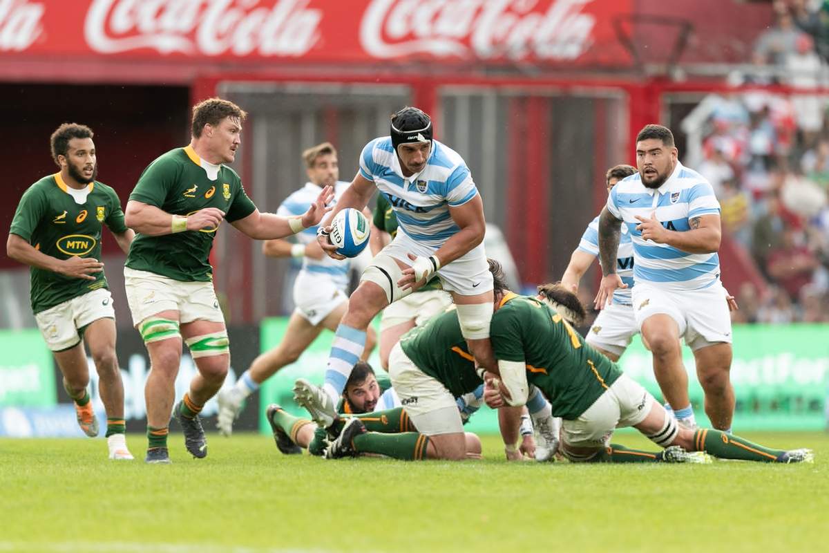 Rugby Championship: Los Pumas cayeron 36 a 20 ante Sudáfrica