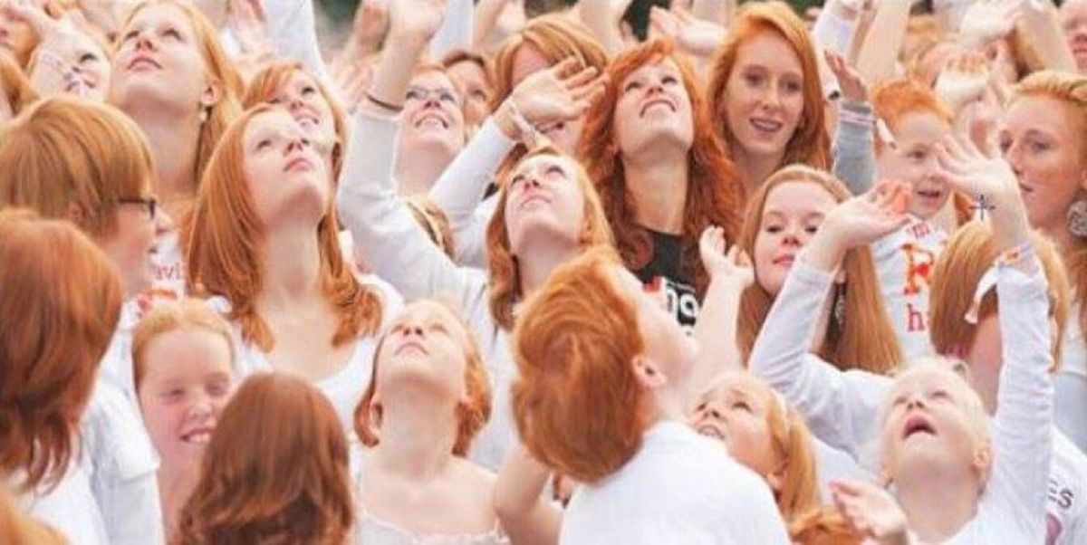 Imagen: Unidiversidad