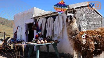 Todo lo que tenés que saber antes de salir de casa...