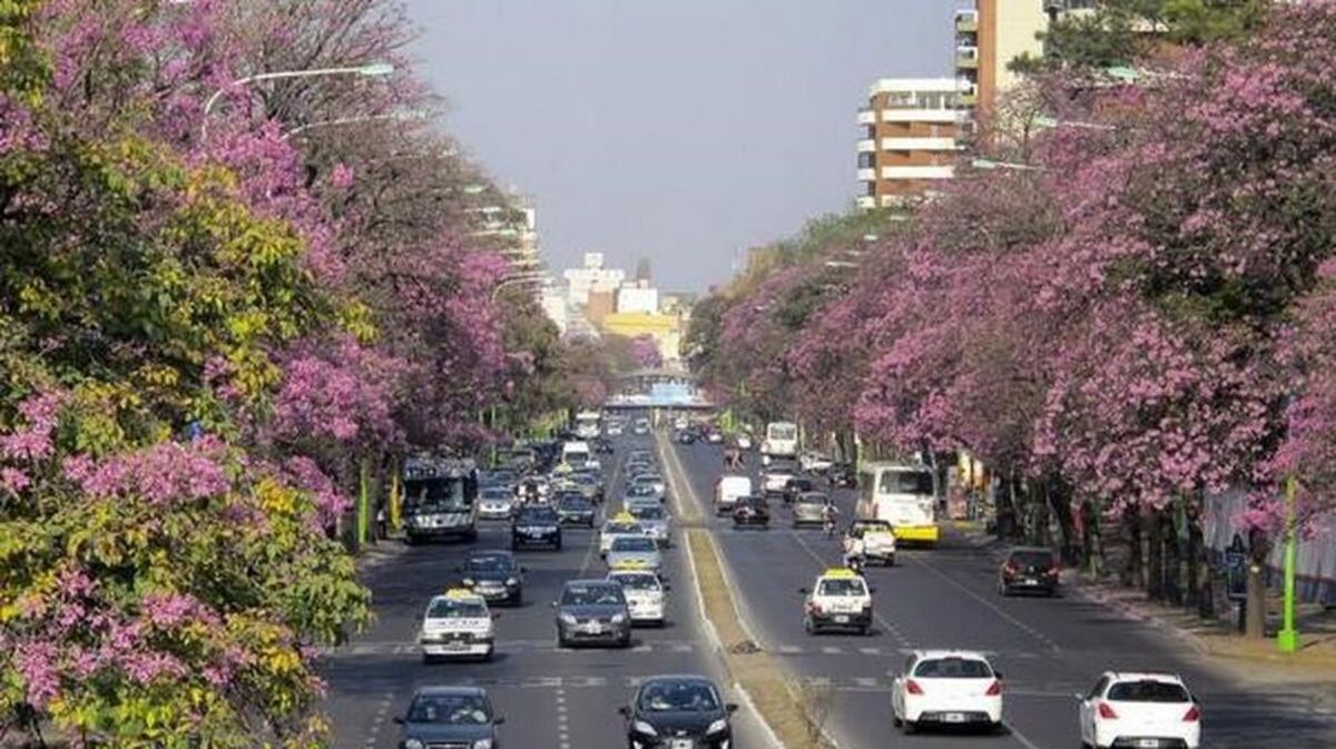 ¿Cuál es el pronóstico para Tucumán este fin de semana?