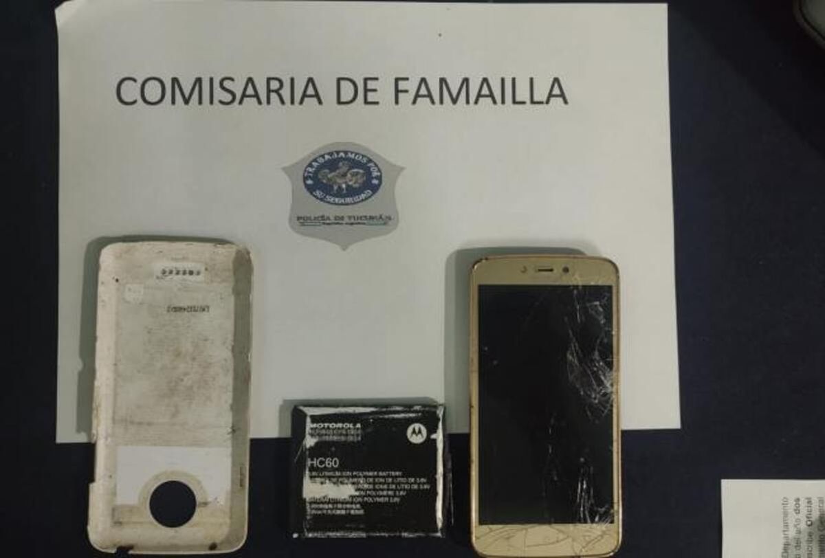Recuperaron el celular que un peligroso ladrón le robó a una mujer