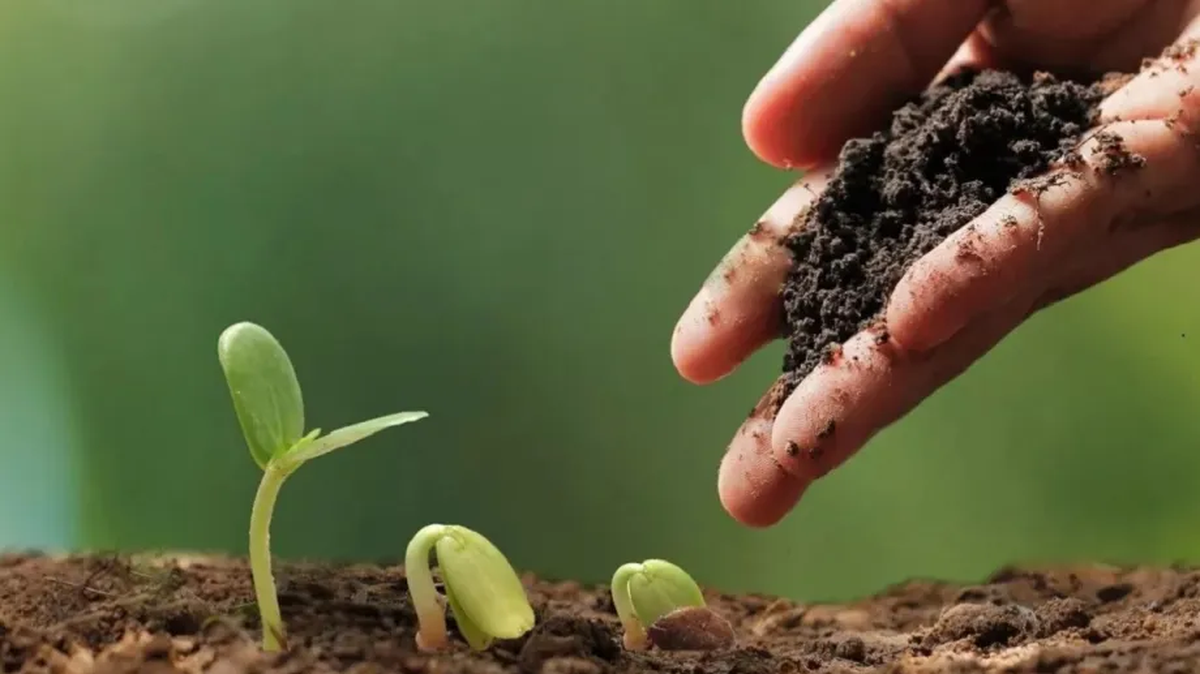 La Agroecología es una forma de producción que crece en Tucumán. La Agroecología es una forma de producción que crece en Tucumán.