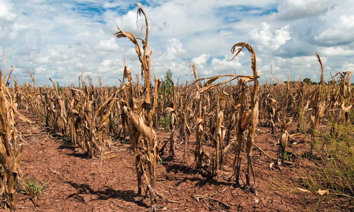 Sequía: el Gobierno descarta declarar el estado de emergencia