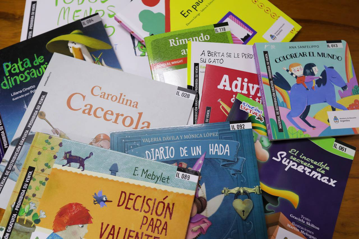 Llegaron 50.000 libros para el nivel inicial de Tucumán