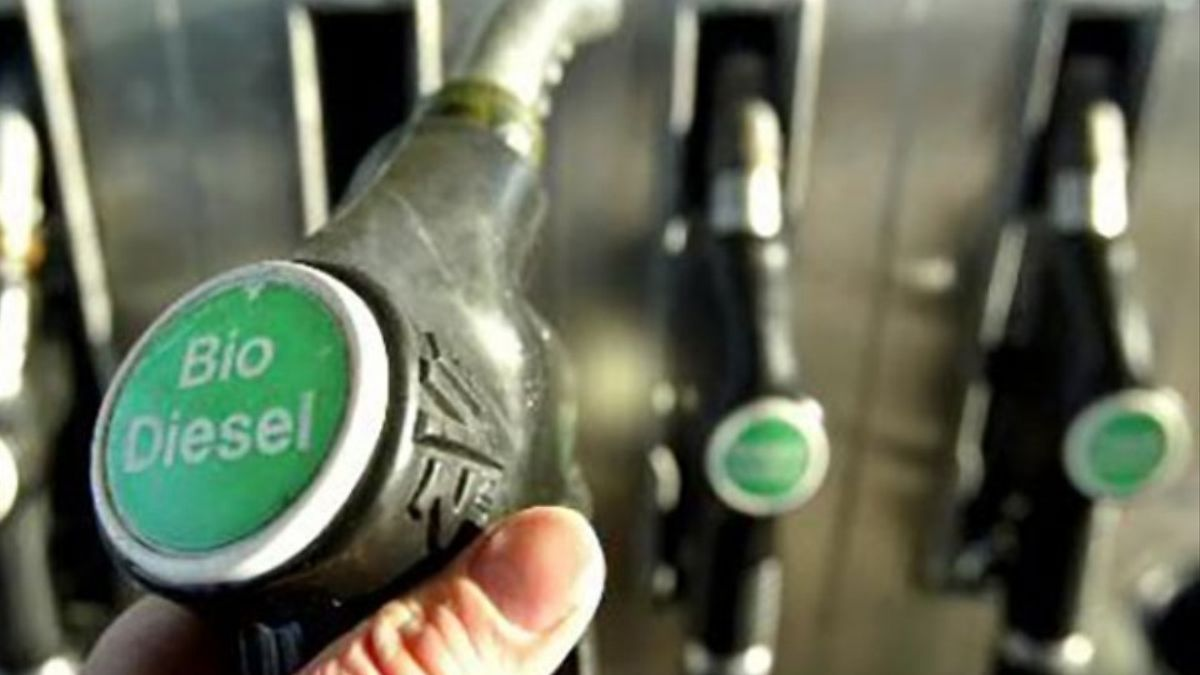 Biocombustibles: podríamos entregar un millón de toneladas durante el año