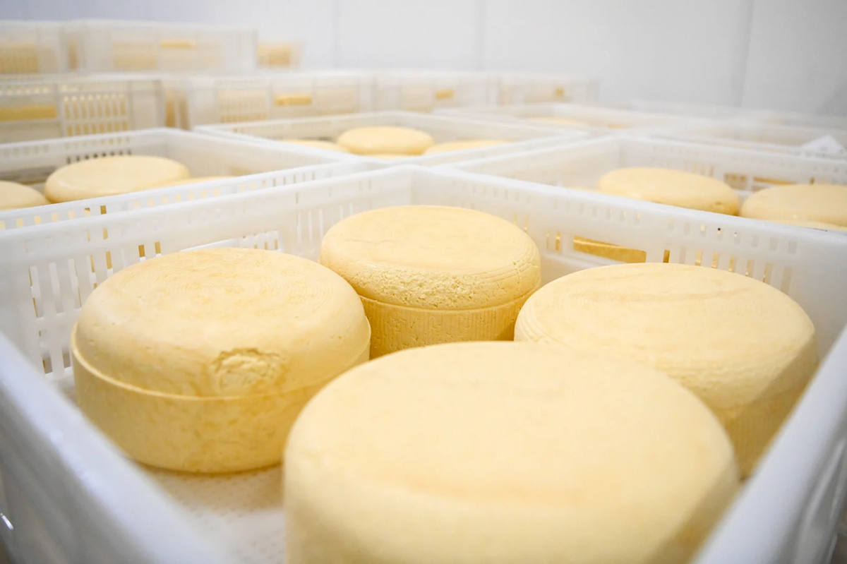 Foto: Diario la Capital de Mar del Plata.