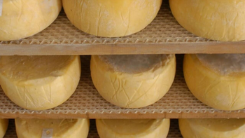 El Queso de Tafí del Valle es el primer lácteo argentino con sello de origen