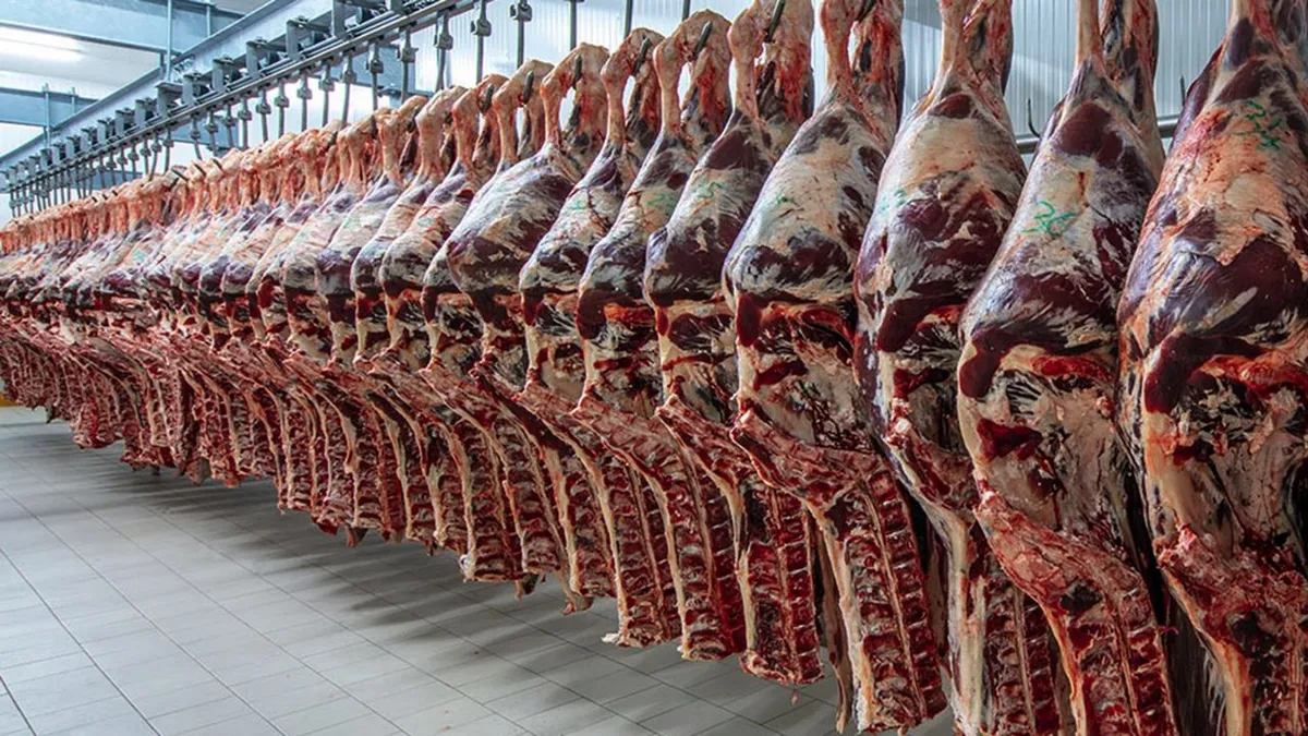 Exportación de carne vacuna: en julio hubo un marcado crecimiento
