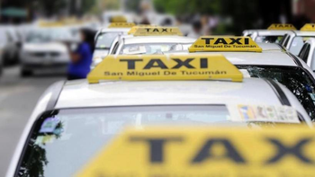 Taxistas y la aplicación del municipio: 