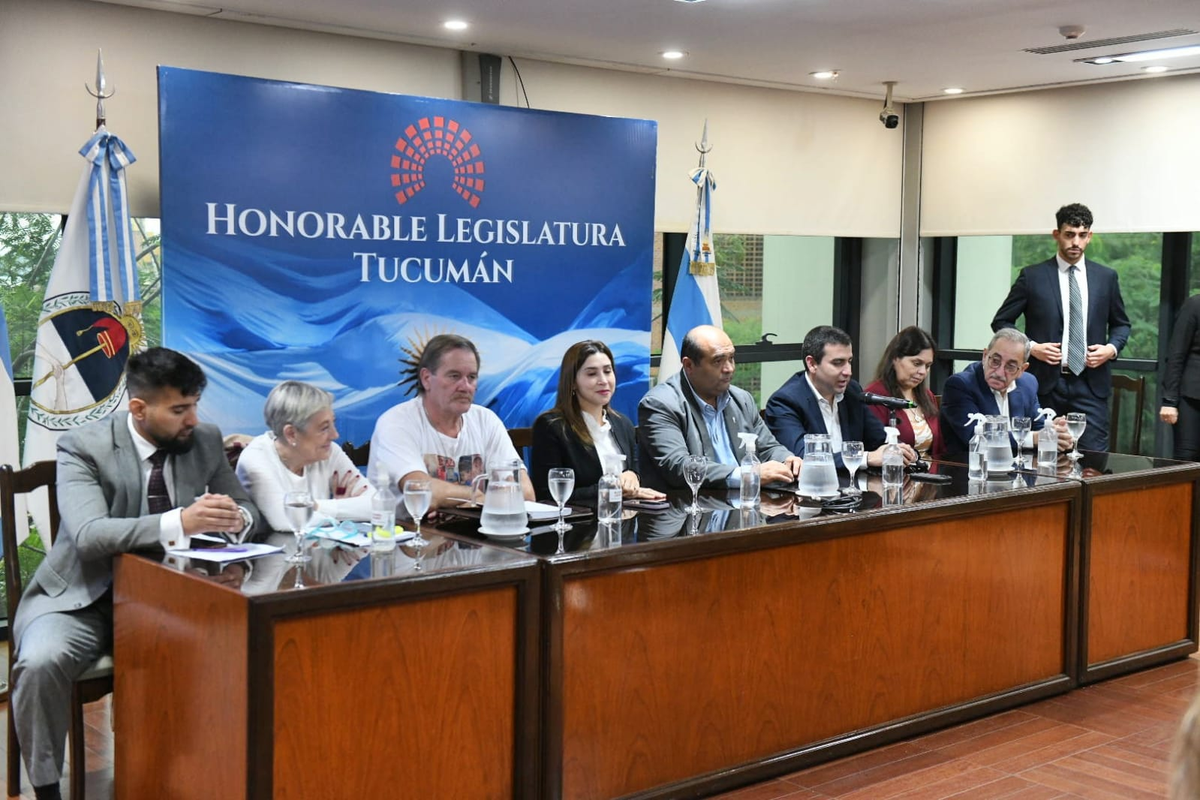 SE REALIZ&Oacute; EN LA LEGISLATURA LA TERCERA JORNADA DE PERSPECTIVA DE LA NI&Ntilde;EZ. (Foto: Honorable Legislatura de Tucum&aacute;n)