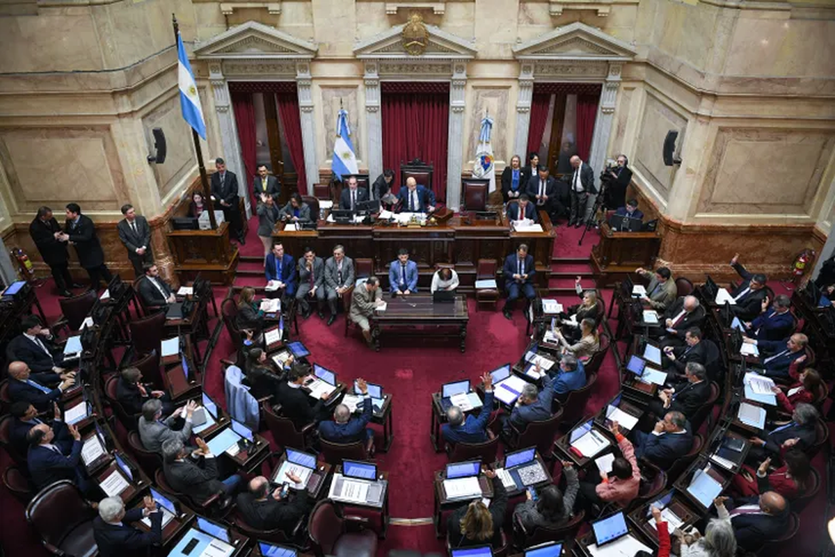 El Senado se apresta para rechazar el veto de Milei. Foto: ámbito